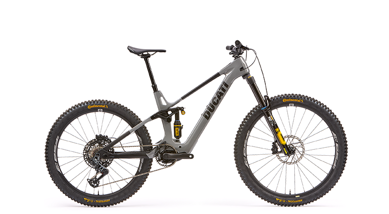 DM-170 RR